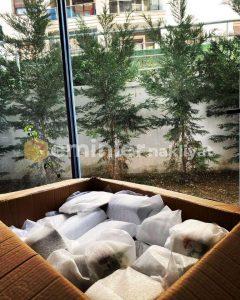 Nakliyat Firması Seçerken Nelere Dikkat Etmelisiniz? İzmir Nakliyat